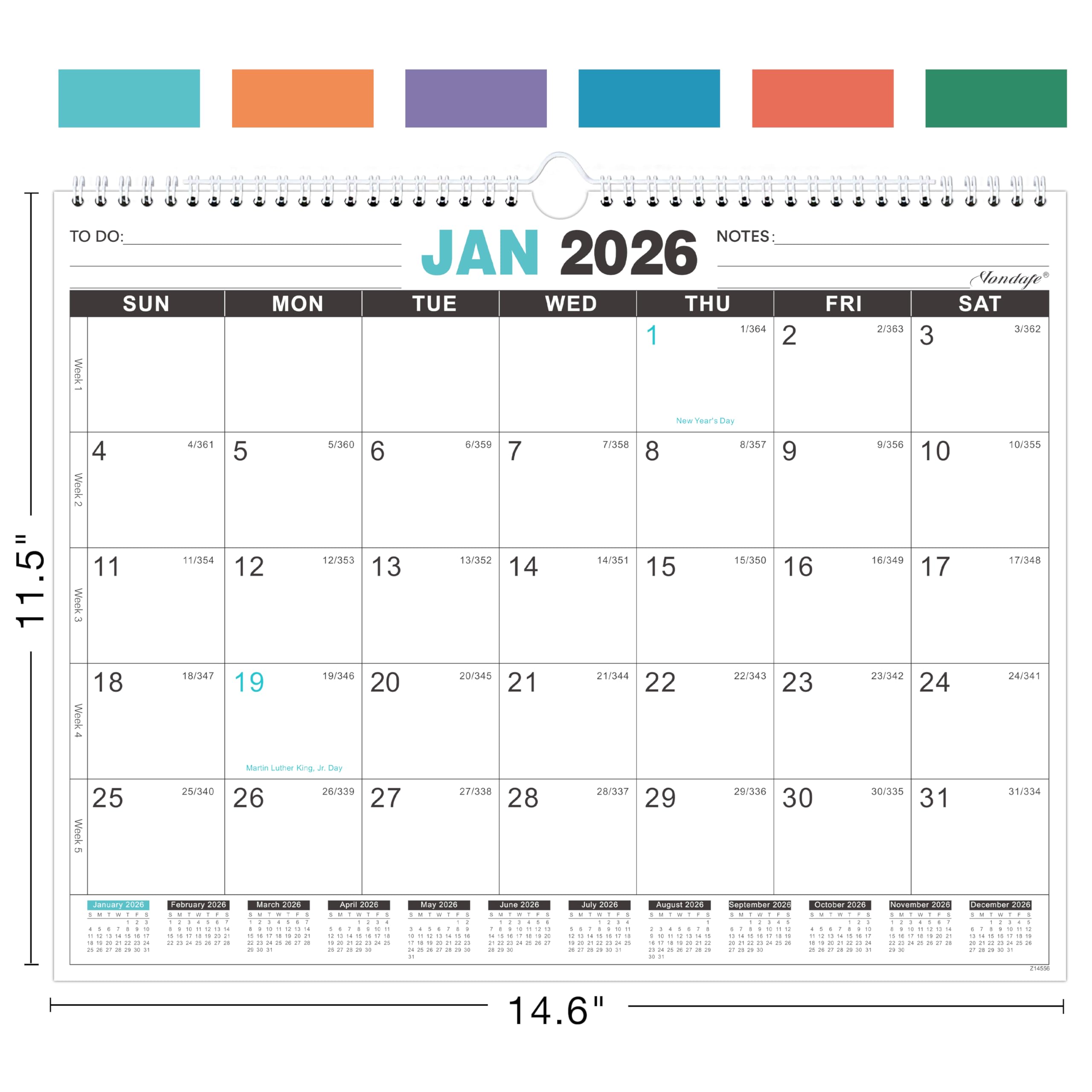 Amazon.co.jp: 2026年カレンダー - 2026年壁掛けカレンダー、2026年1月